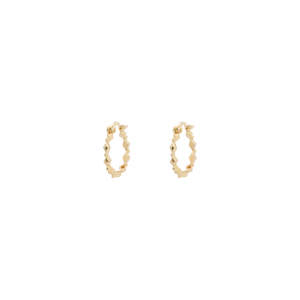 Embellished Small Hoop Earring 25165333 Goldpl