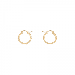 Embellished Small Hoop Earring 25165333 Goldpl