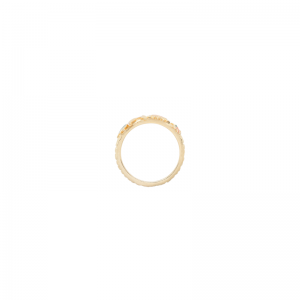 Bonfire Ring  17 Silver Goldpl 25165327 Multic