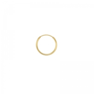 Single Plain Ring Earring Medi 19995381 Goldpl