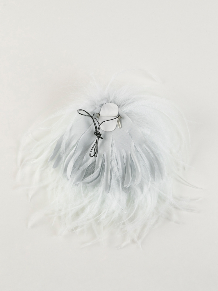 Bégonia - Ice