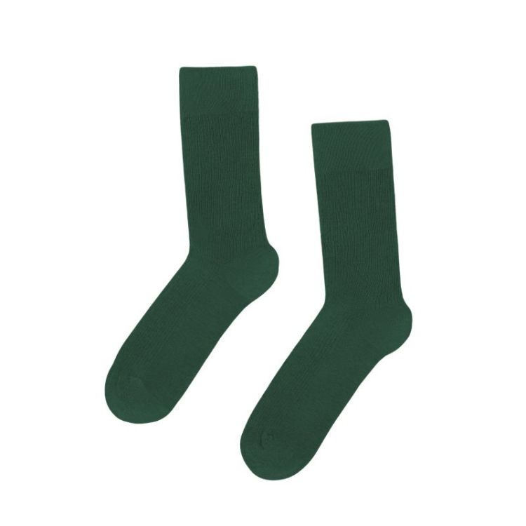 Classic Organic Sock - Emerald Green