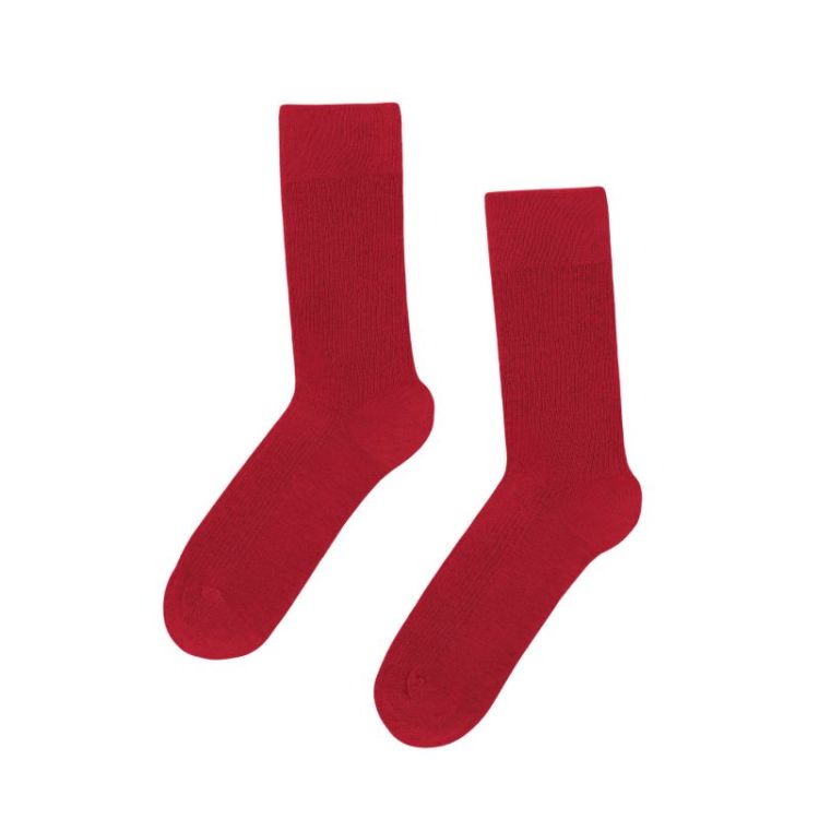 Classic Organic Sock - Scarlet Red